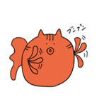 まんまるきんぎょねこ（個別スタンプ：24）