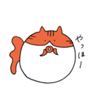 まんまるきんぎょねこ（個別スタンプ：30）