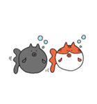 まんまるきんぎょねこ（個別スタンプ：33）