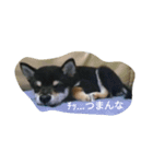 りと。（個別スタンプ：11）