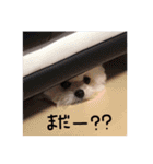 RYEスタンプ2 文字入り（個別スタンプ：9）