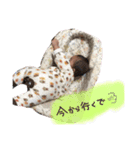 KANATAのスタンプ（個別スタンプ：10）