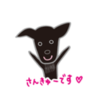 和犬ミックスの黒ワンコ『福』くん！（個別スタンプ：7）