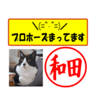 はんこだポン和田様用、顔文字と猫写真付（個別スタンプ：14）