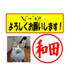 はんこだポン和田様用、顔文字と猫写真付（個別スタンプ：16）