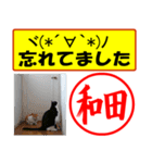 はんこだポン和田様用、顔文字と猫写真付（個別スタンプ：20）