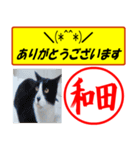 はんこだポン和田様用、顔文字と猫写真付（個別スタンプ：29）