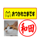 はんこだポン和田様用、顔文字と猫写真付（個別スタンプ：30）