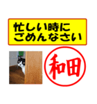 はんこだポン和田様用、顔文字と猫写真付（個別スタンプ：33）