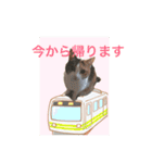 ねこまる日和パートつー（個別スタンプ：5）
