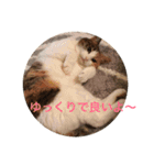 ねこまる日和パートつー（個別スタンプ：7）