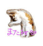 ねこまる日和パートつー（個別スタンプ：10）