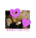ヒロシくん（個別スタンプ：1）