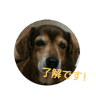 ヒロシくん（個別スタンプ：7）