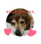ヒロシくん（個別スタンプ：8）