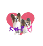 さんおび（個別スタンプ：1）