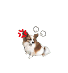 さんおび（個別スタンプ：8）