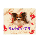 さんおび（個別スタンプ：13）