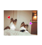 さんおび（個別スタンプ：22）