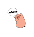 Pigu chan（個別スタンプ：6）