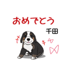 千田さんが使う名前スタンプ・子犬イラスト（個別スタンプ：16）