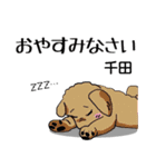千田さんが使う名前スタンプ・子犬イラスト（個別スタンプ：21）