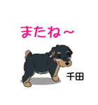 千田さんが使う名前スタンプ・子犬イラスト（個別スタンプ：23）