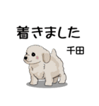 千田さんが使う名前スタンプ・子犬イラスト（個別スタンプ：27）