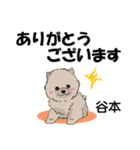 谷本さんが使う名前スタンプ・子犬イラスト（個別スタンプ：2）