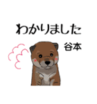 谷本さんが使う名前スタンプ・子犬イラスト（個別スタンプ：5）