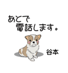 谷本さんが使う名前スタンプ・子犬イラスト（個別スタンプ：13）