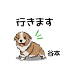 谷本さんが使う名前スタンプ・子犬イラスト（個別スタンプ：30）