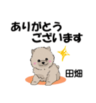 田畑さんが使う名前スタンプ・子犬イラスト（個別スタンプ：2）