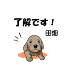 田畑さんが使う名前スタンプ・子犬イラスト（個別スタンプ：4）