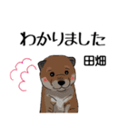 田畑さんが使う名前スタンプ・子犬イラスト（個別スタンプ：5）