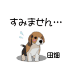 田畑さんが使う名前スタンプ・子犬イラスト（個別スタンプ：10）