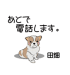 田畑さんが使う名前スタンプ・子犬イラスト（個別スタンプ：13）