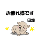 田畑さんが使う名前スタンプ・子犬イラスト（個別スタンプ：14）