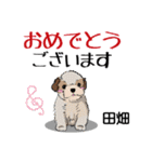 田畑さんが使う名前スタンプ・子犬イラスト（個別スタンプ：15）