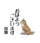 田畑さんが使う名前スタンプ・子犬イラスト（個別スタンプ：17）
