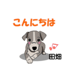 田畑さんが使う名前スタンプ・子犬イラスト（個別スタンプ：19）