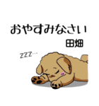 田畑さんが使う名前スタンプ・子犬イラスト（個別スタンプ：21）