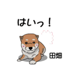 田畑さんが使う名前スタンプ・子犬イラスト（個別スタンプ：22）