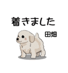 田畑さんが使う名前スタンプ・子犬イラスト（個別スタンプ：27）