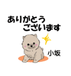 小坂さんが使う名前スタンプ・子犬イラスト（個別スタンプ：2）