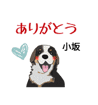 小坂さんが使う名前スタンプ・子犬イラスト（個別スタンプ：3）