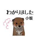 小坂さんが使う名前スタンプ・子犬イラスト（個別スタンプ：5）