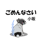 小坂さんが使う名前スタンプ・子犬イラスト（個別スタンプ：9）