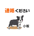 小坂さんが使う名前スタンプ・子犬イラスト（個別スタンプ：12）
