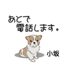 小坂さんが使う名前スタンプ・子犬イラスト（個別スタンプ：13）